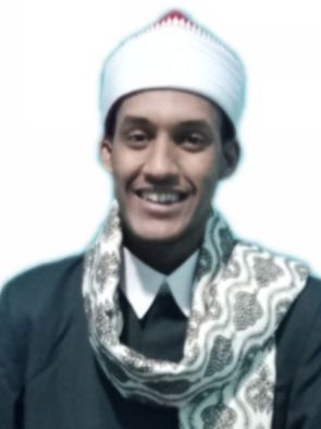 محمد حامد  الوشاحى 